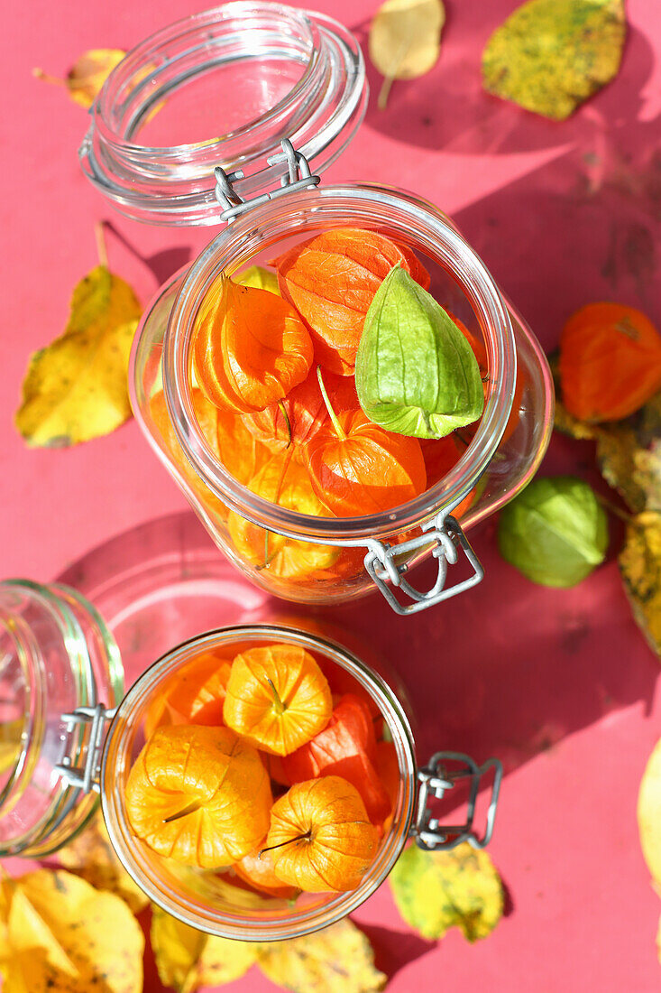 Lampion flowers in jars