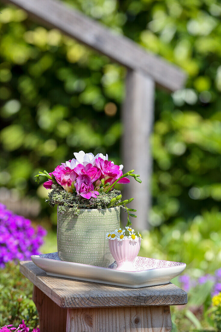 Arrangement of freesias and egg cups with chamomile flowers