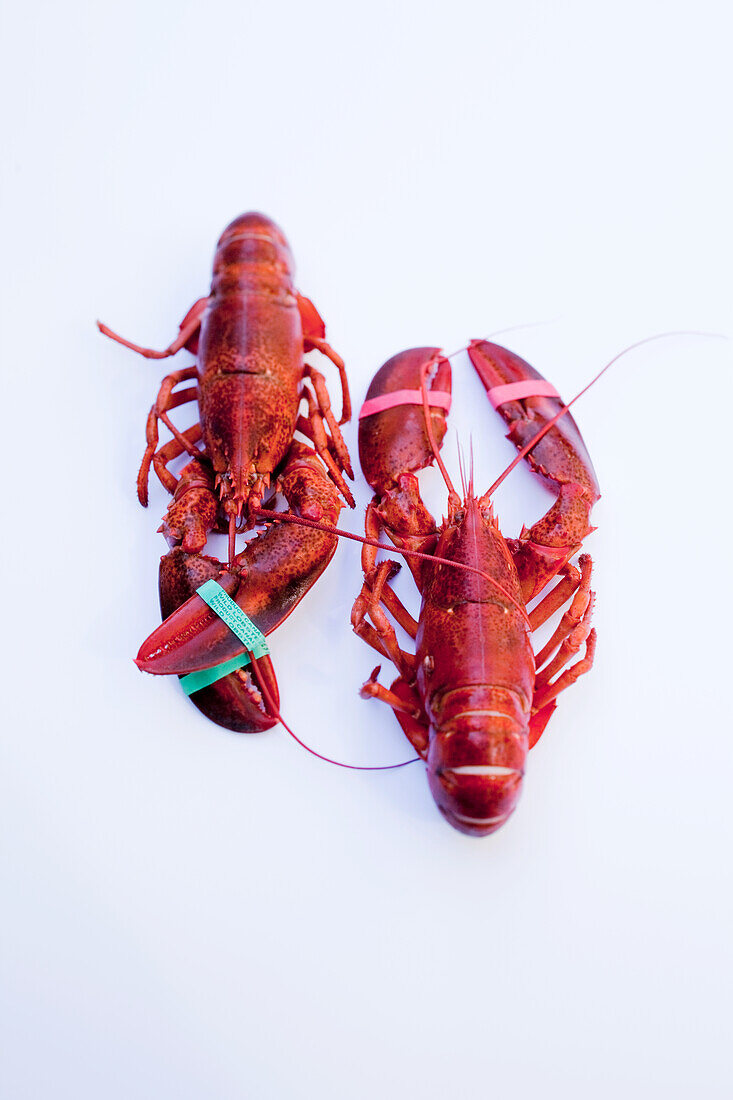 Cooked lobsters