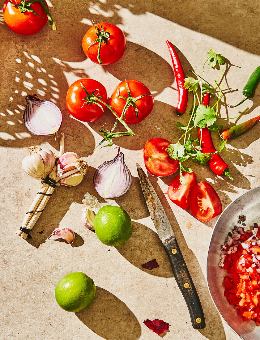 Ingredients for Mexican Salsa