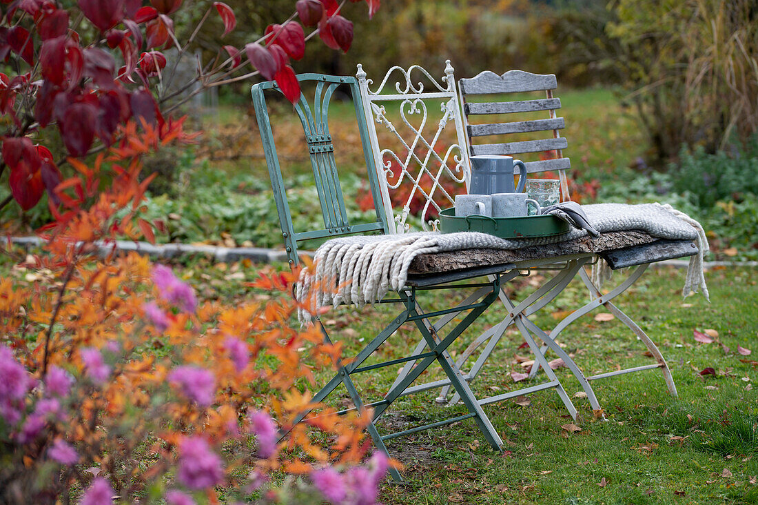 chairs in an autumnal garden