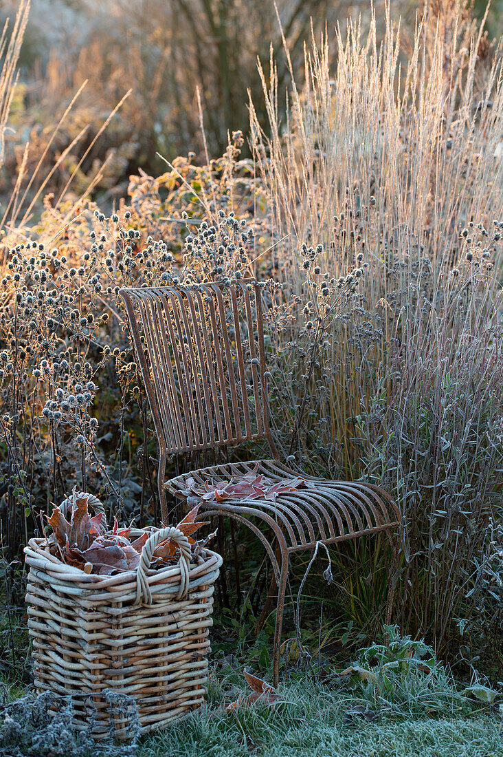Vintage chair, next to it basket with leaves in the late autumn garden