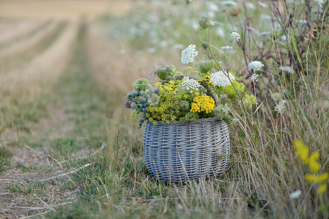 Korb mit Wilder Möhre (Samenstand), Schafgarbe, Rainfarn und Wiesenfenchel