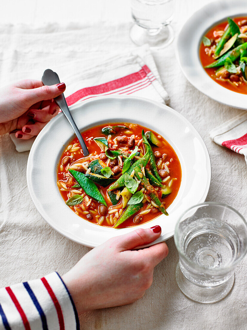 Sommerlicher Gemüseeintopf mit Borlottibohnen und Orzo