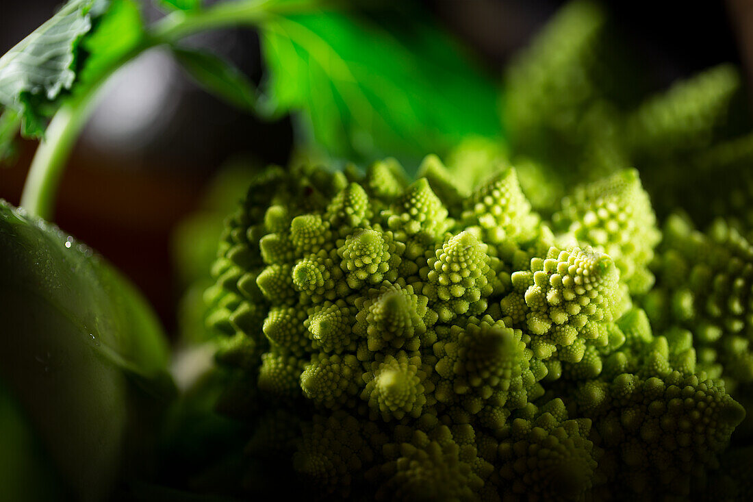 Romanesco broccoli (close-up)