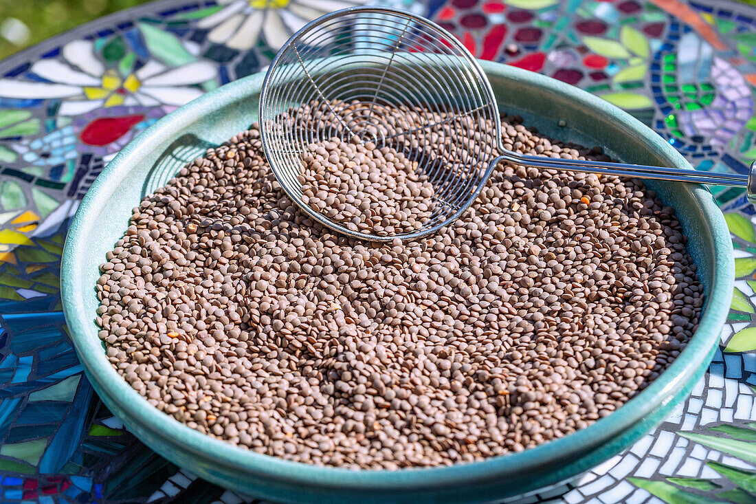 Mountain lentils on a plate