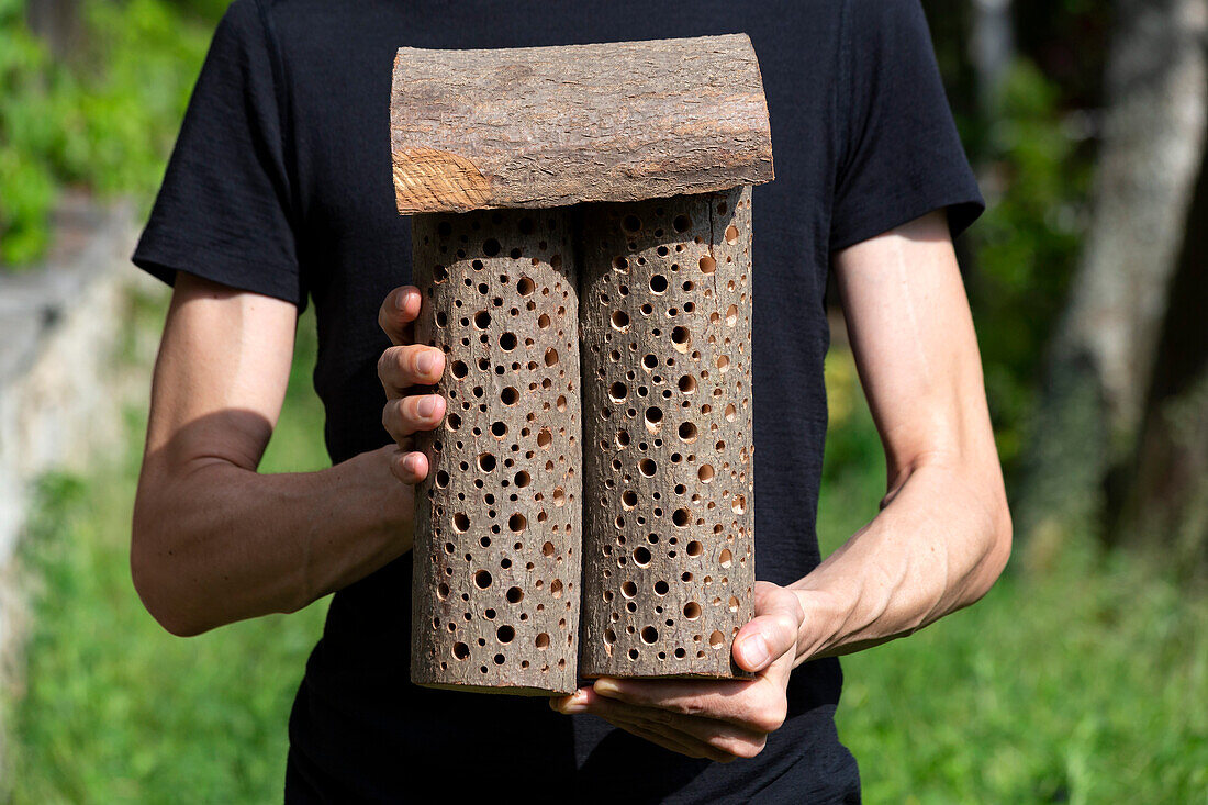 Mann, der hölzernes Bienenhotel hält