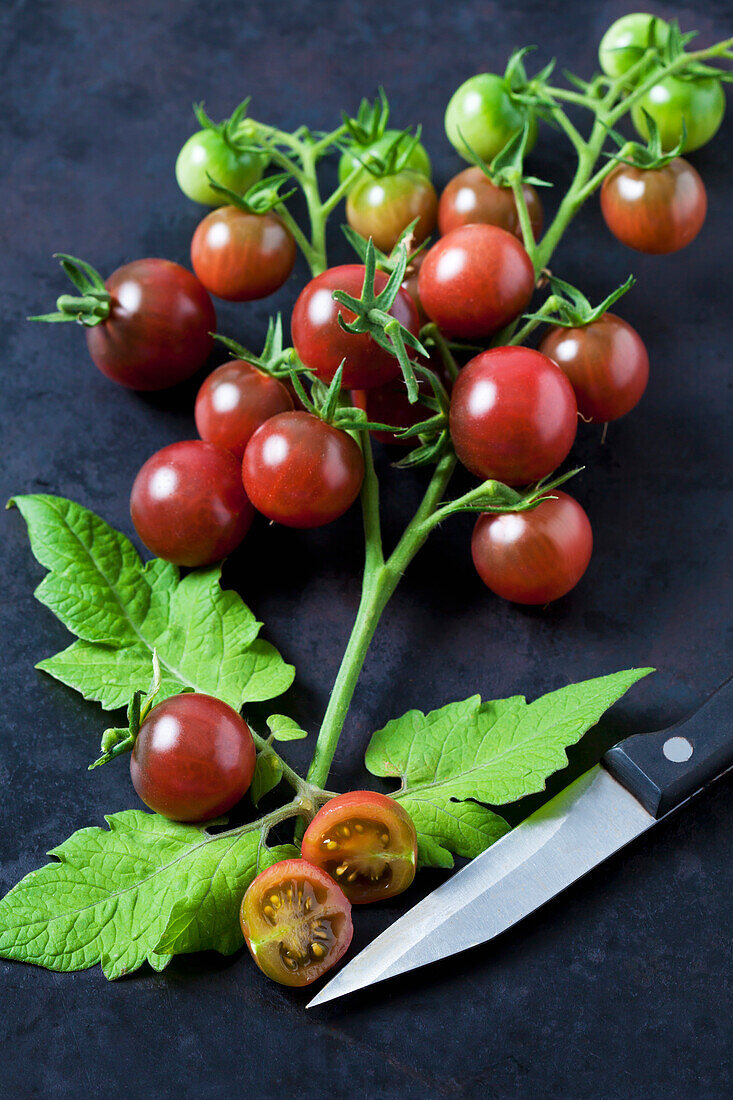 Rispe Tomaten 'Black Cherry', Blätter und Küchenmesser auf dunklem Grund