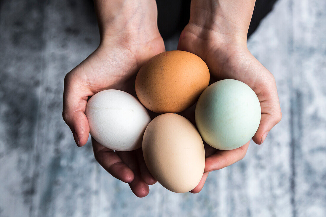 Verschiedene Eier, weiße, braune, hellbraune und grüne Eier