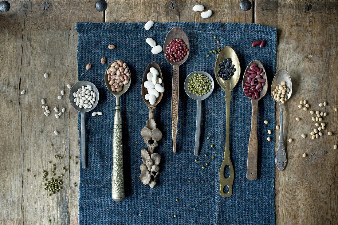 Spoons of various dried beans
