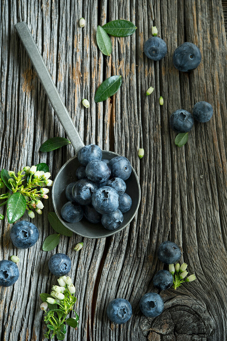 Ladle with fresh blueberries