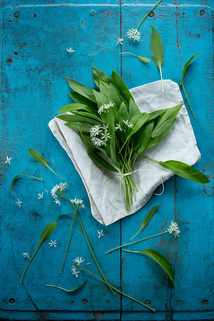 Frische Blätter und Blüten des Bärlauchs (Allium ursinum).