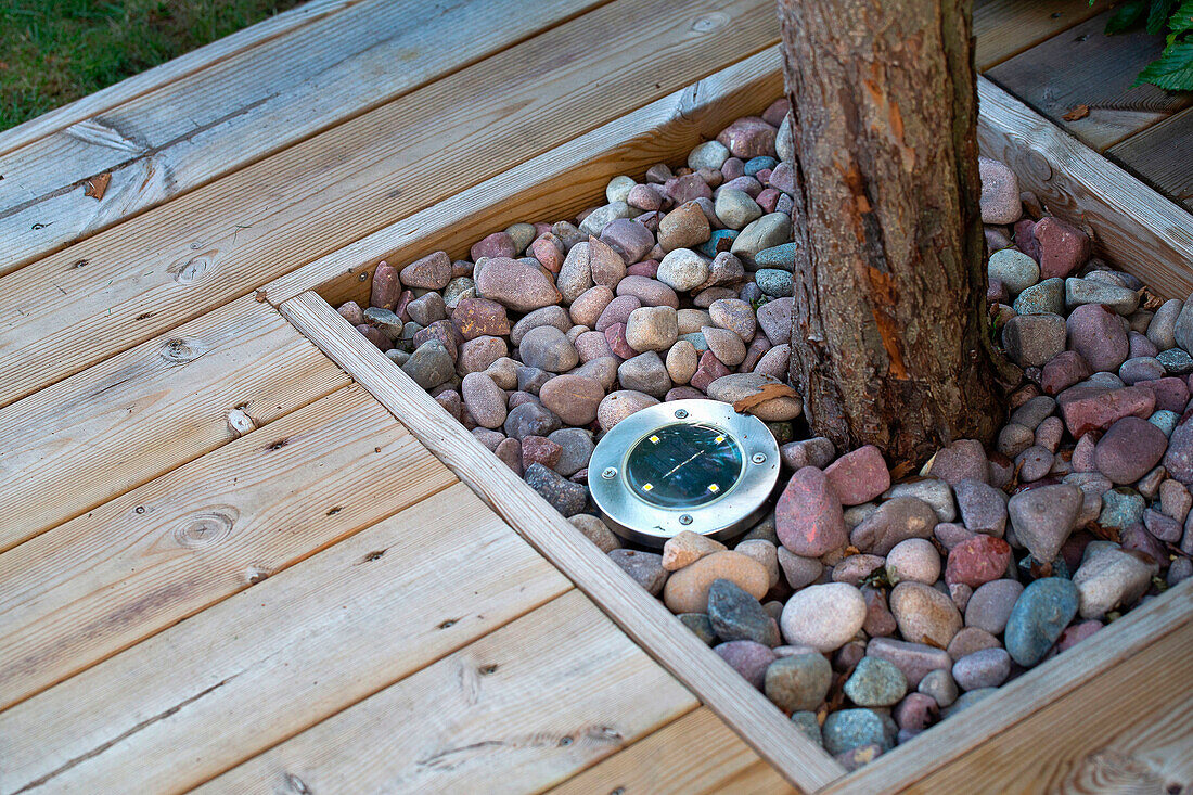 Wooden terrace with integrated tree surround and floor light