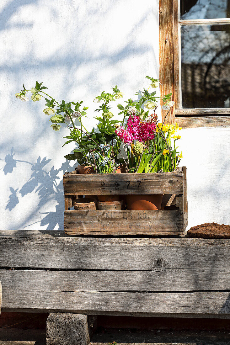 Wooden box with spring flowers