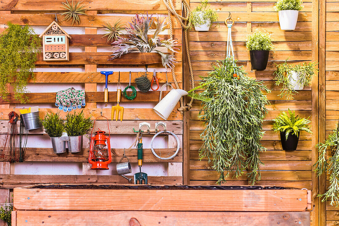 Urban garden built of pallets on the terrace