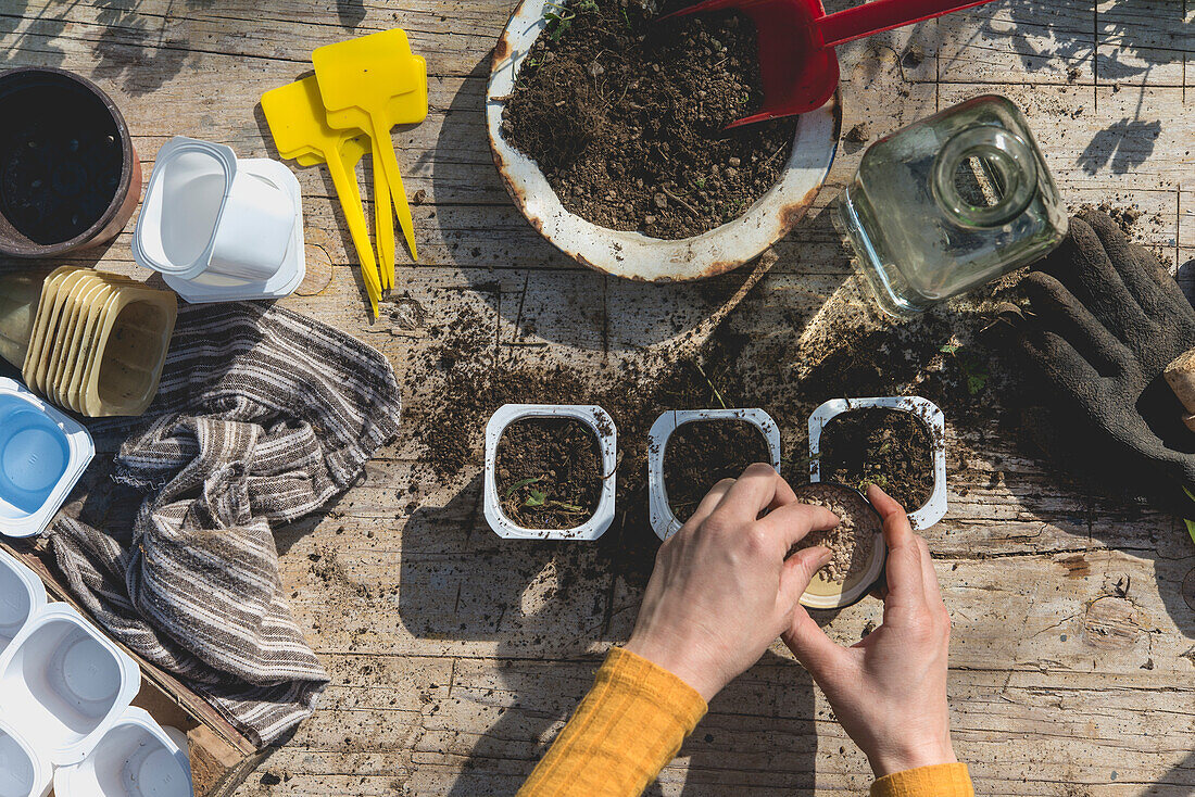 Mid adult woman putting seeds in container on table during springtime at garden