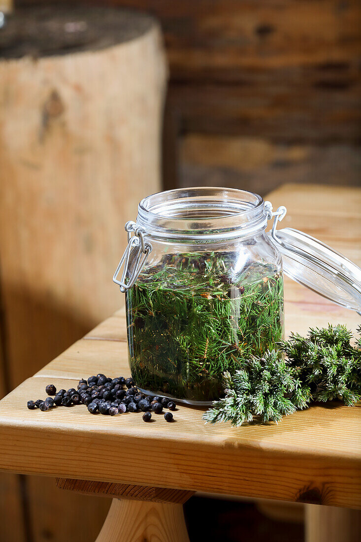 Preparing juniper brandy (for muscle and joint pain)