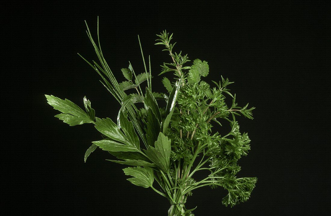 Herb bouquet against black backdrop