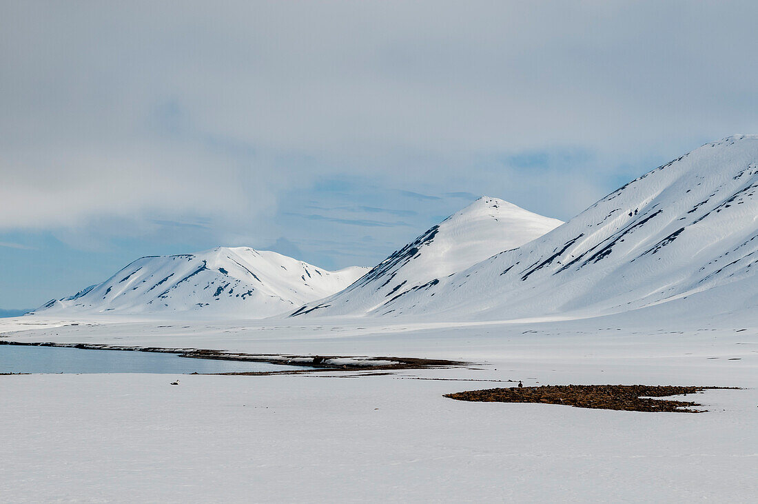 Snow covered mountains and beach, Norway