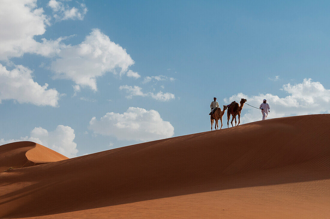 Camel riding in a desert dune