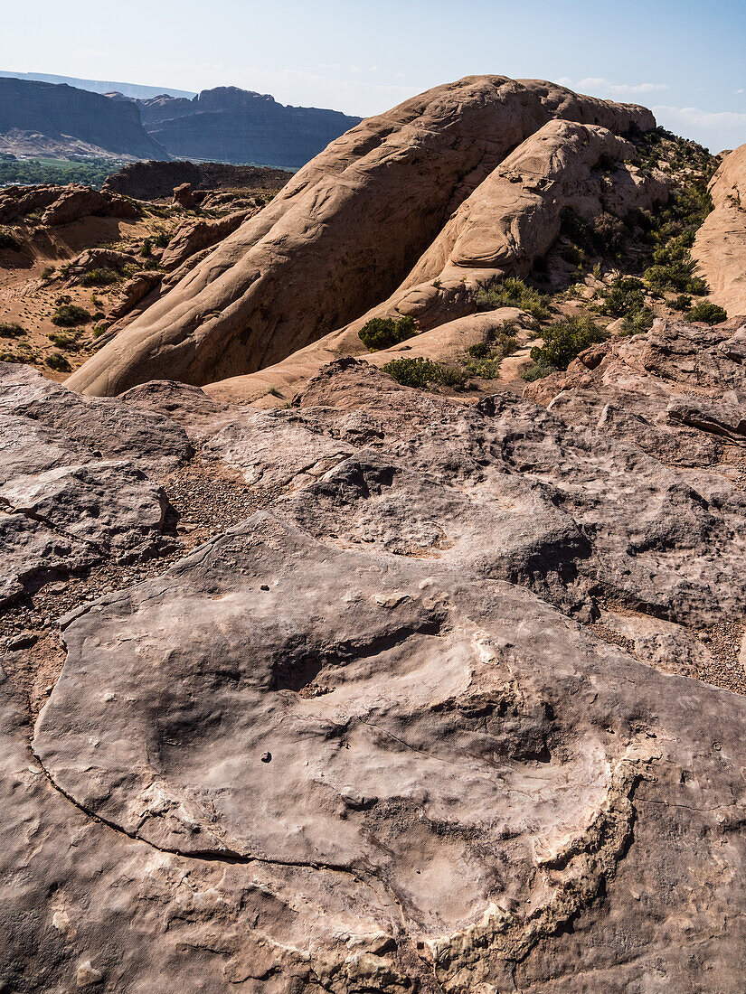 Allosaurus dinosaur tracks, Moab, Utah, USA