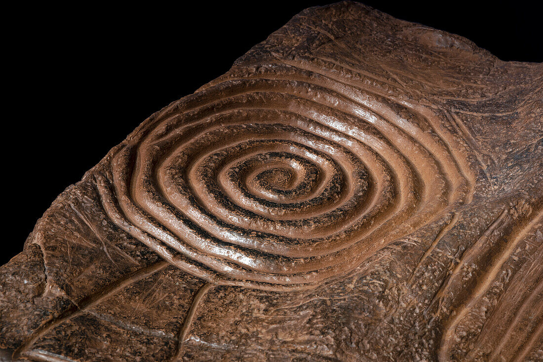 Neolithic rock carving