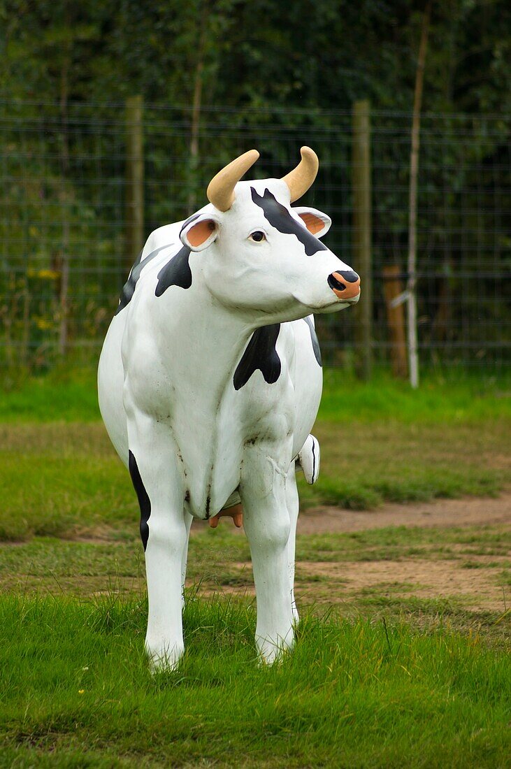 Plastic cow in Scotland