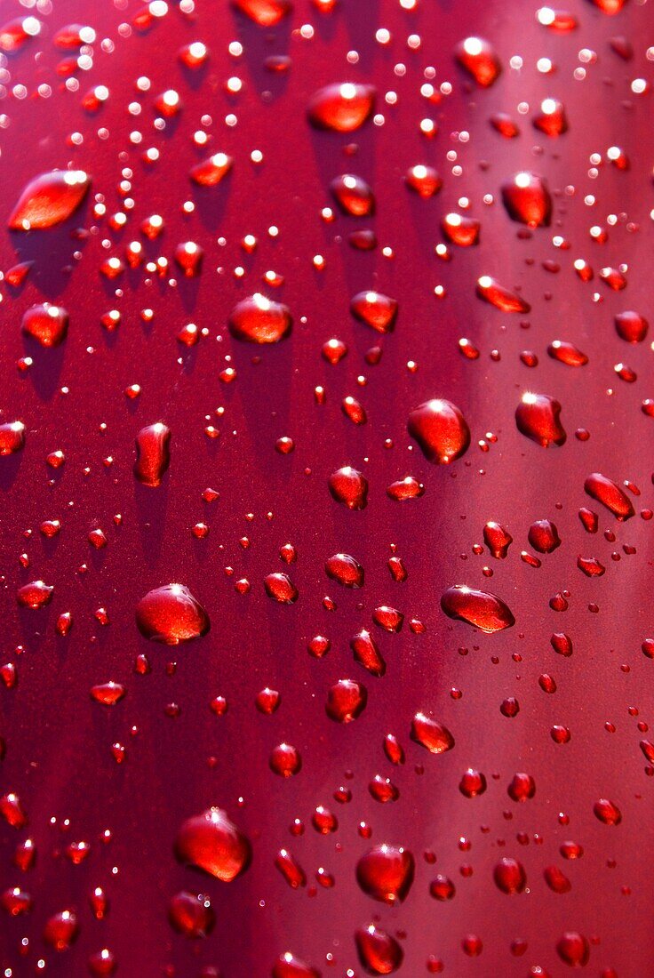 Rain droplets on a red car
