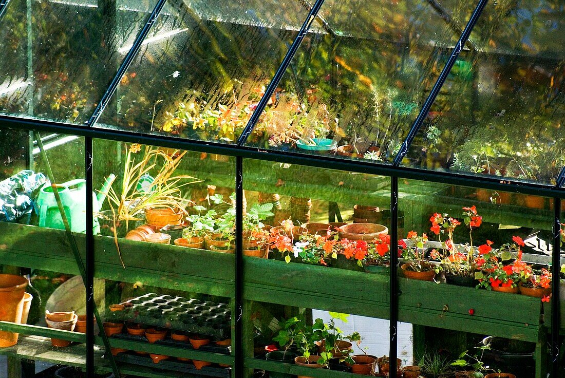 Domestic greenhouse