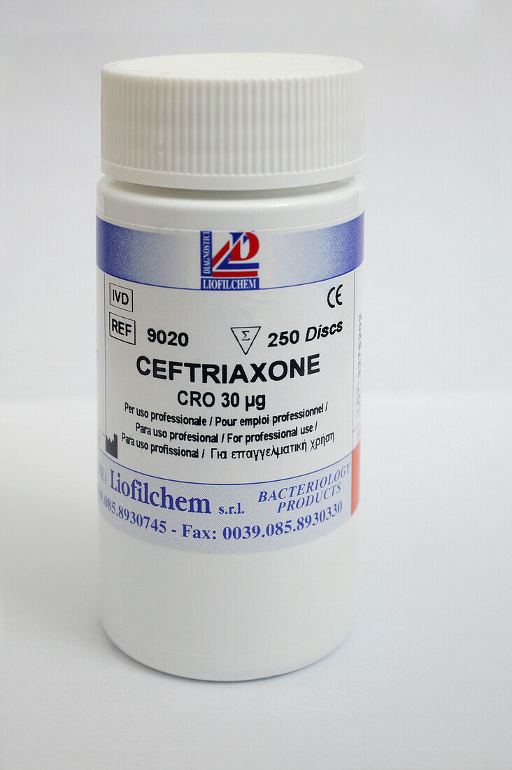 Ceftriaxone antibiotic