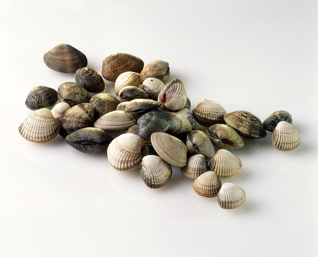 Clams and cockles with drops of water