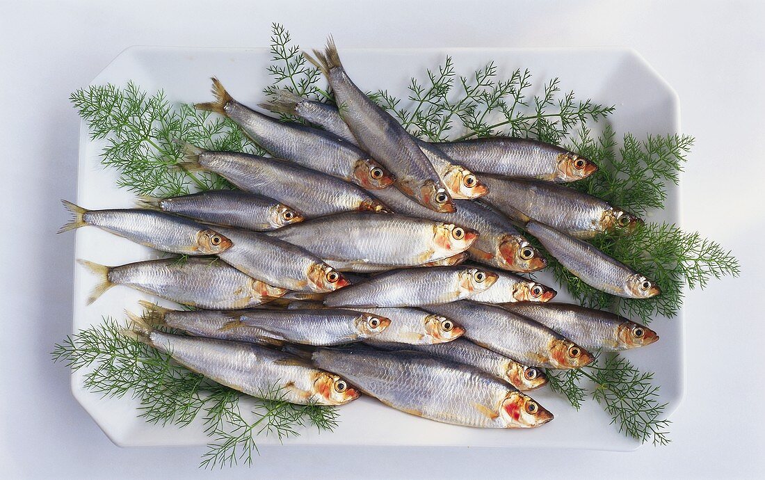 Several sprats with dill on white platter