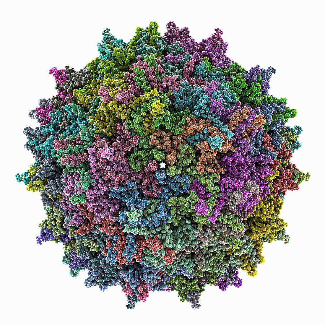 Adeno-associated true type virus capsid, molecular model