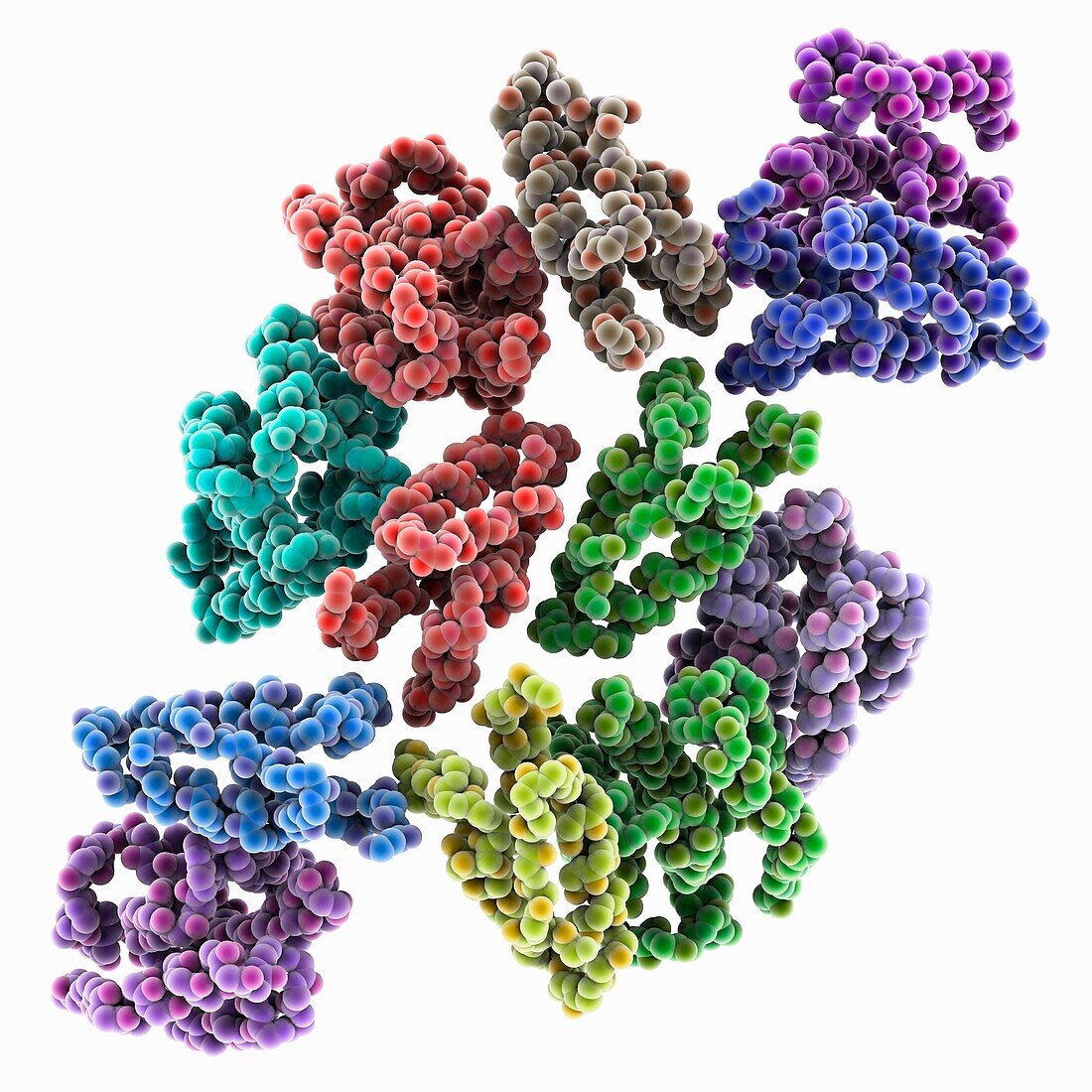 Mature Rous sarcoma virus lattice, molecular model