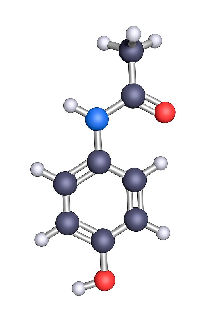 Acetaminophen, molecular model