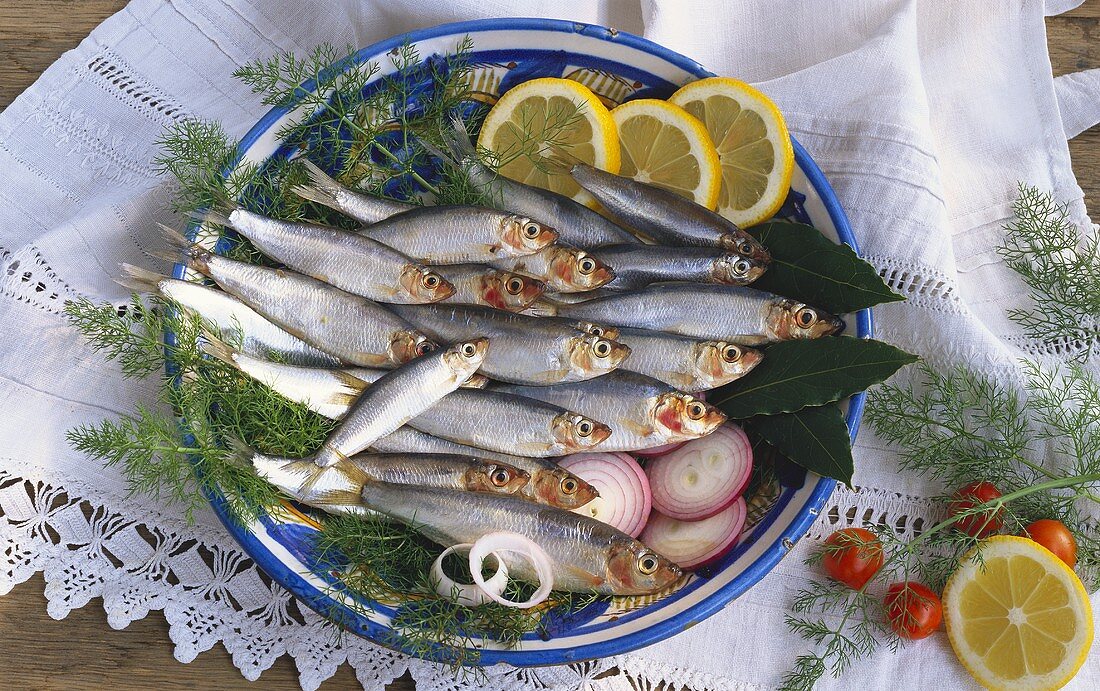 Several sprats on a plate with dill, onions, lemon