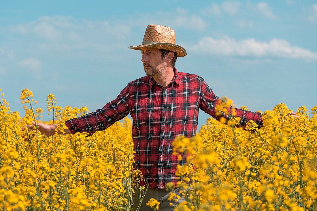 Farmer walking through rapeseed crop