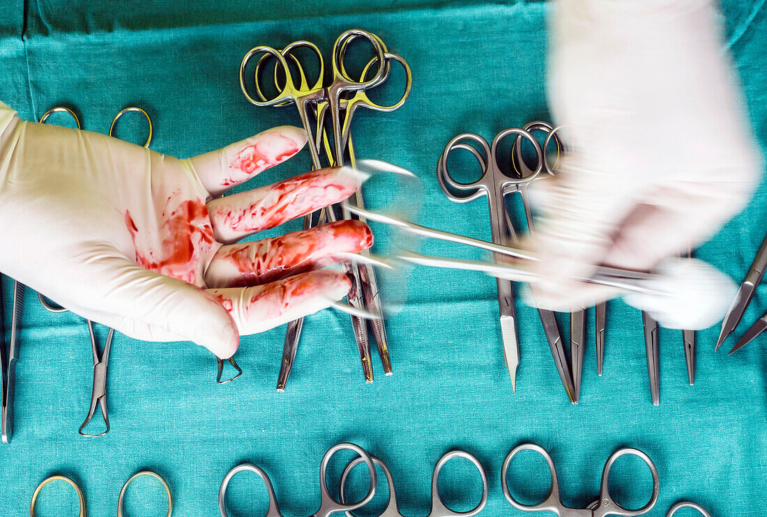 Gloved hands holding surgical forceps and swab