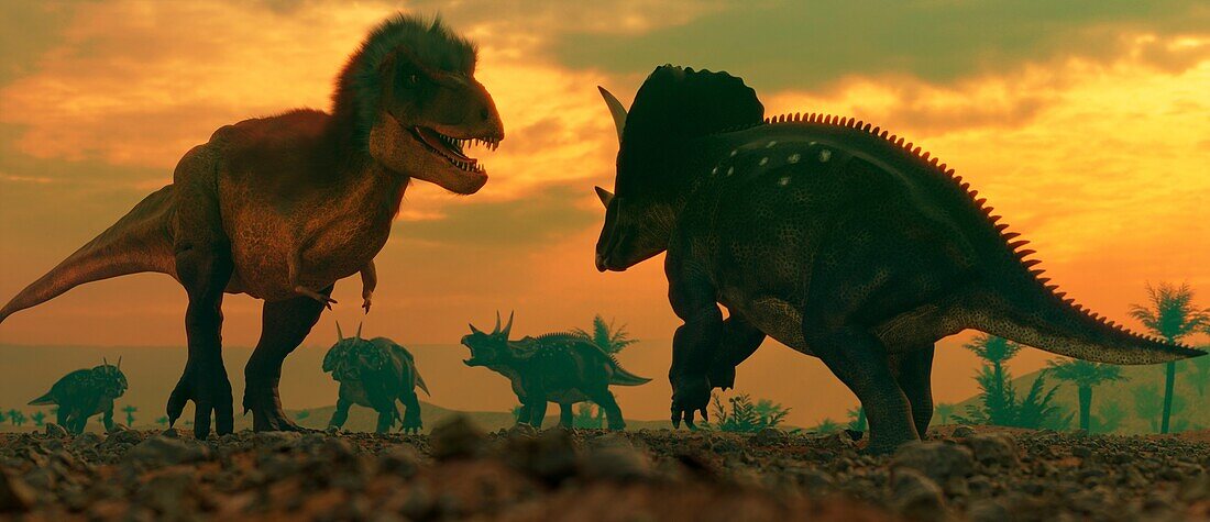 Artwork of T Rex vs Triceratops