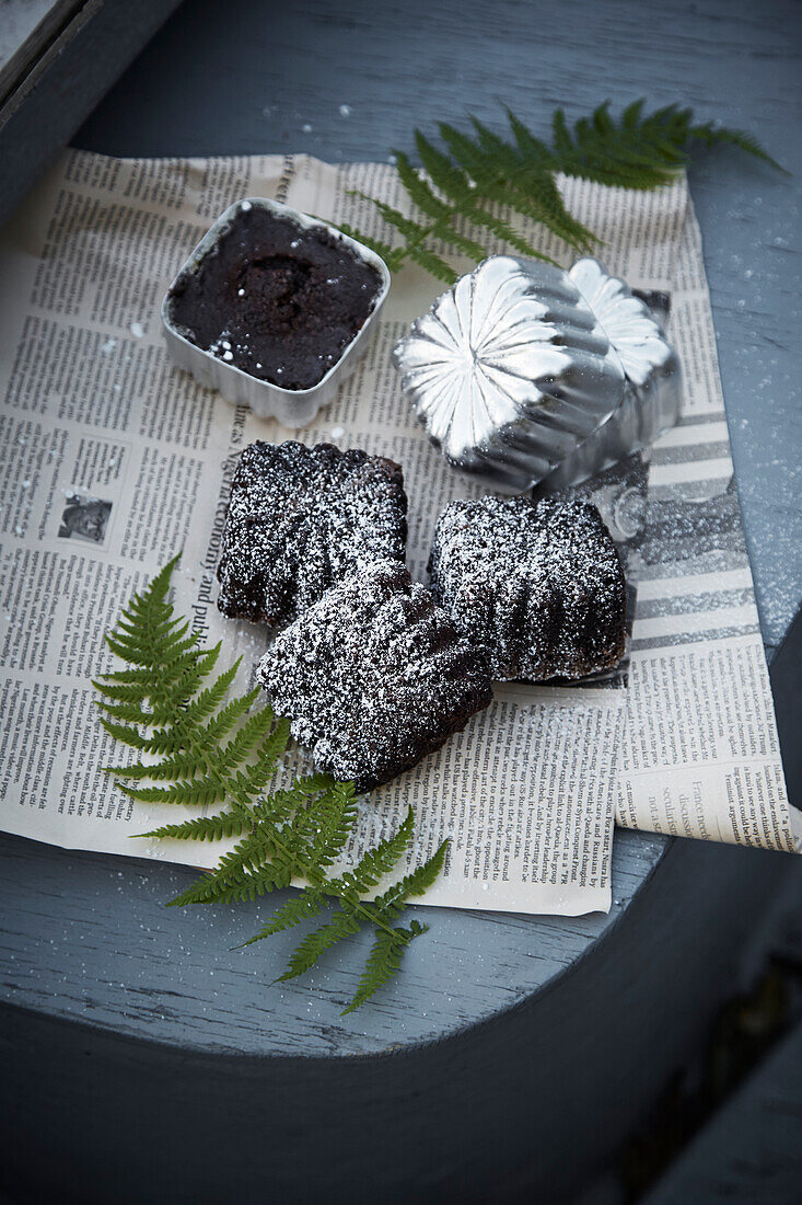 Mini chocolate cakes for a picnic