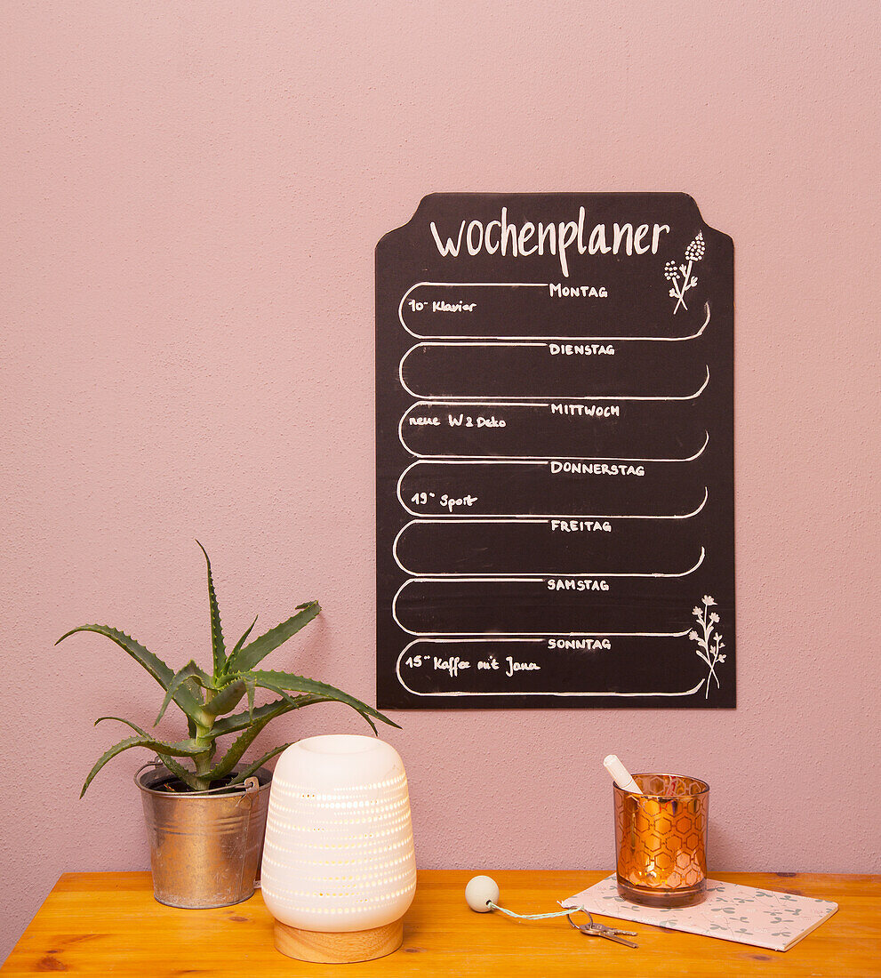 Weekly planner on pink wall, houseplant and decoration