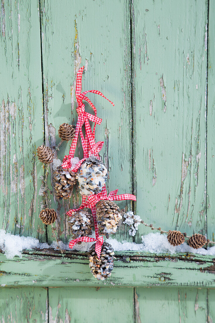 Christmas decoration pendant with cones and red ribbon on a green door