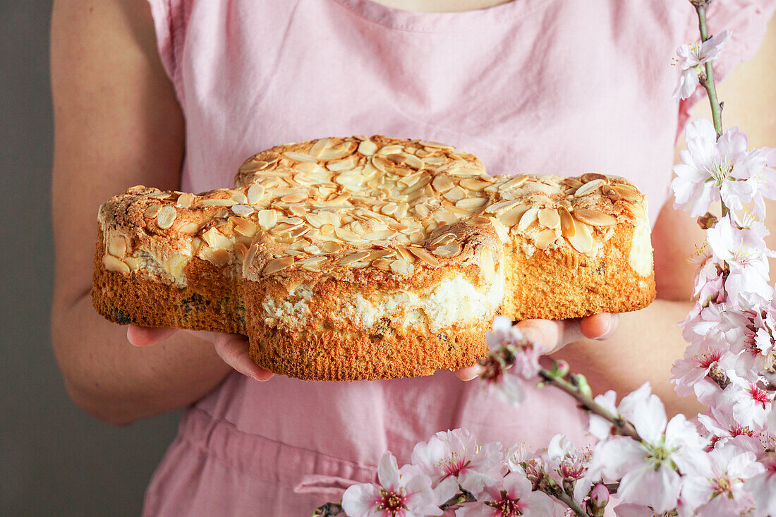 Hands holding Colomba (Traditional Italian Easter cake with almonds)