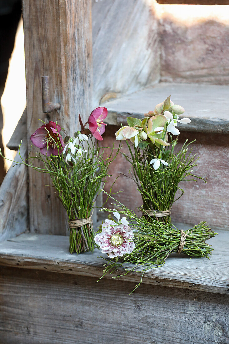 Kleine Sträuße aus Frühblühern (Schnee- und Lenzrose, Heidelbeerkraut und Schneeglöckchen)