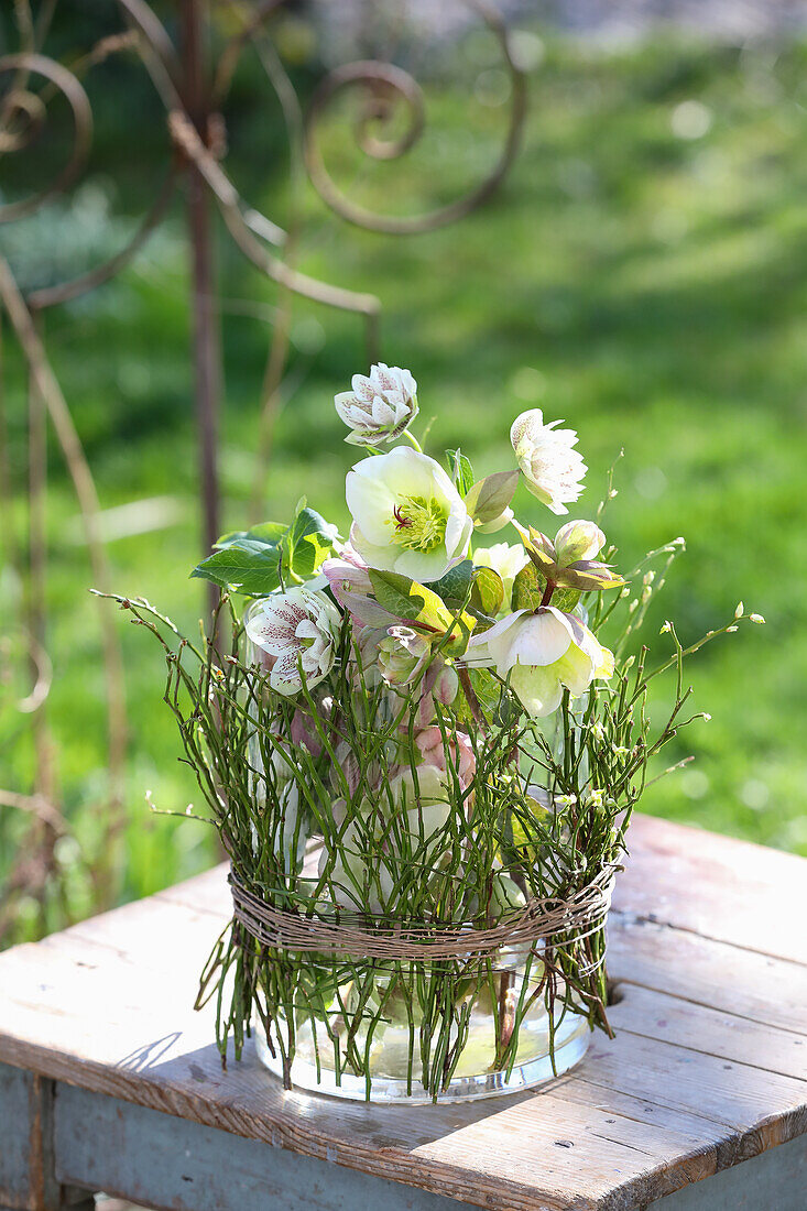 Early bloomers: snow roses with blueberry herb