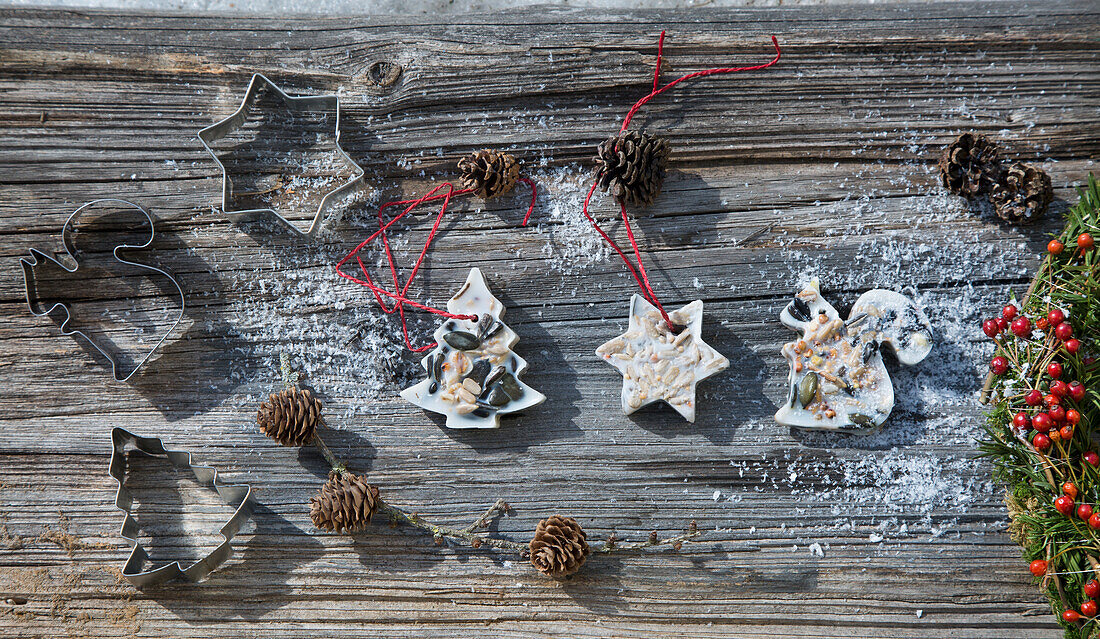 Christmas cookie cutters with homemade bird food on a wooden background