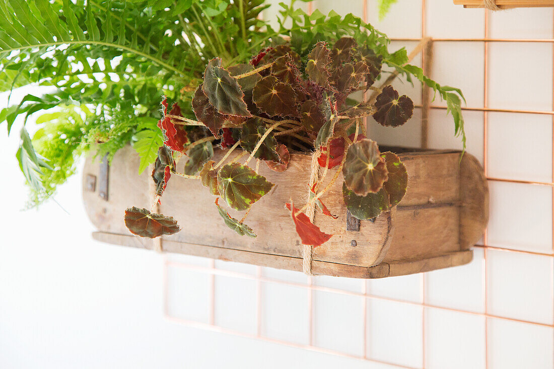 Planted wooden box on copper-coloured wall grid