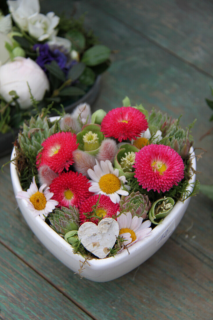 Bellis, houseleeks and ox-eye daisies in a heart-shaped bowl