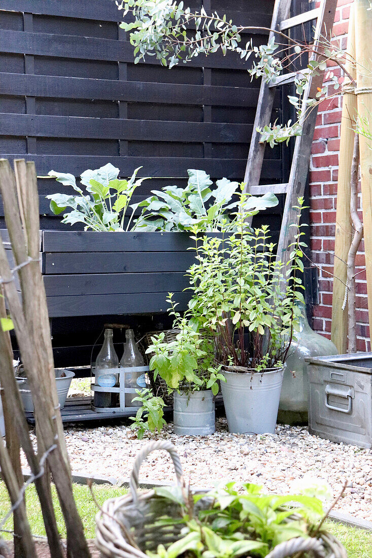 Raised bed with kohlrabi, herb pots and decorative elements