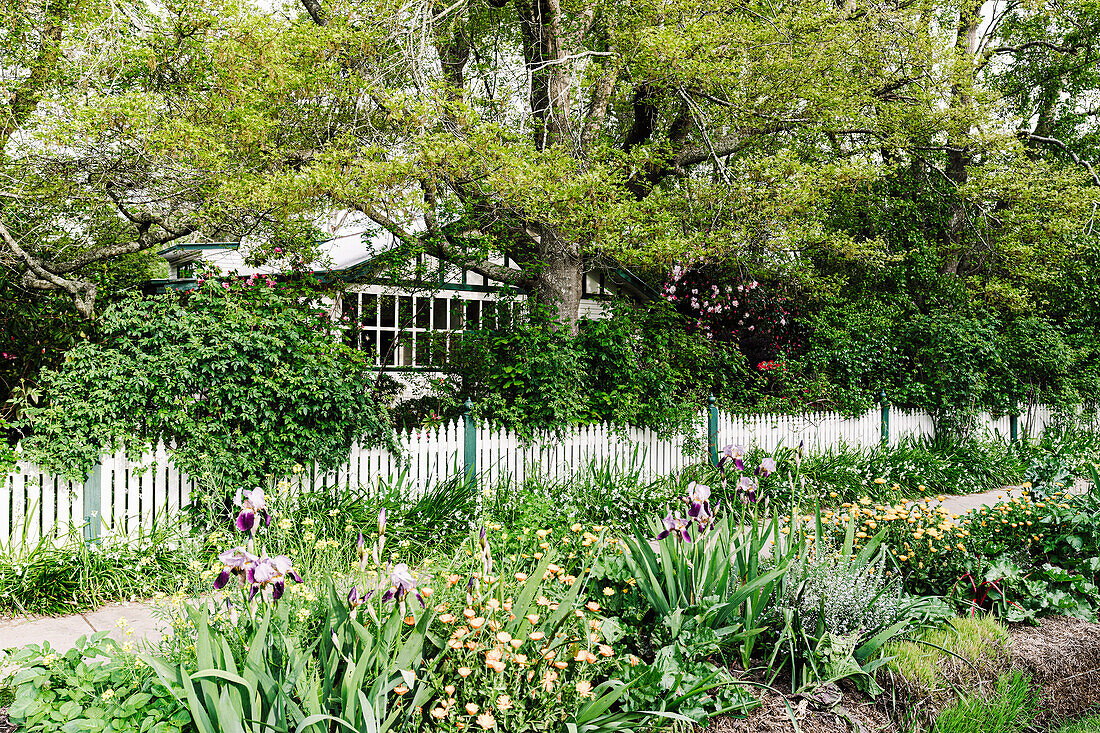 Lush flower bed along the walkway in front of the house with garden